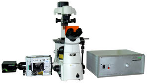 میکروسکوپ FLIM |دوربین دیجیتال | آزمایشگاه