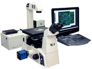 میکروسکوپ فلورسانس/ دوربین دیجیتالی/ اندازه گیری/ فشرده